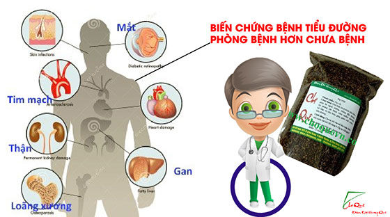 nụ vối, lá vối - bài thuốc chữa bệnh dân gian